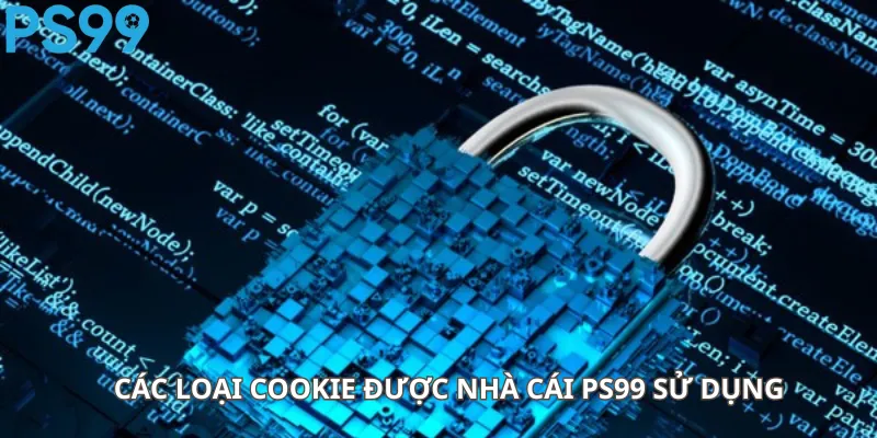 Các Loại Cookie Được Nhà Cái Ps99.app Sử Dụng