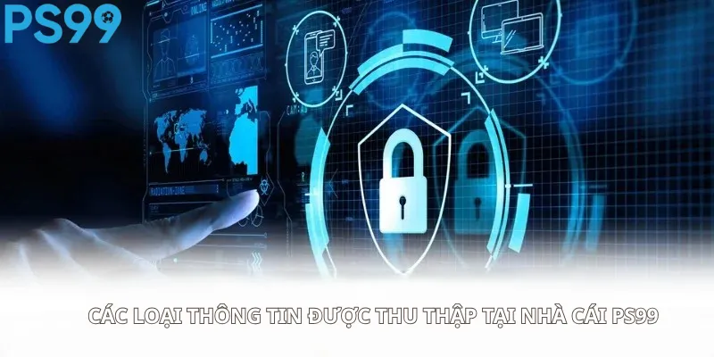 Các loại thông tin được thu thập tại nhà cái Ps99 chính thức